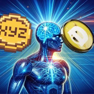 The Rise of XYZVerse: A New Contender in the Crypto Arena