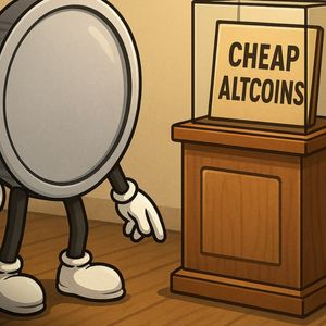 UNDERVALUED Altcoins For Crypto's This BULLRUN