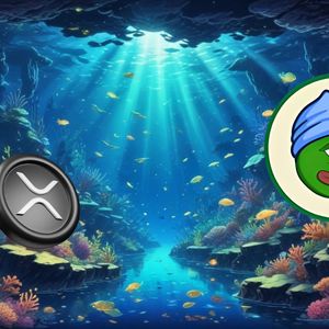 Exploring the Impact of Whale Investments in XRP and Little Pepe