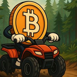 Bitcoin Price Analysis: BTC Trades Around $113,500, Struggles To Build Momentum