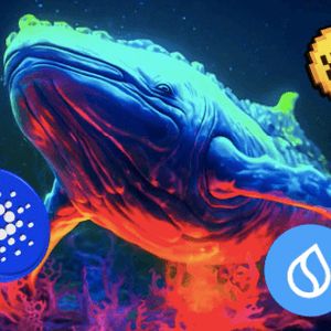Whale Activity Ongoing In These Digital Assets - Here's How Much ADA, SUI, SHIB & XYZVerse (XYZ) Price Skyrockets If...