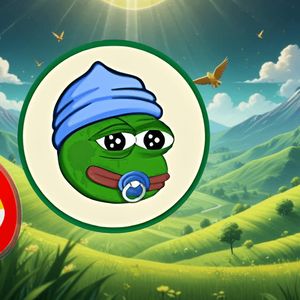 From a $100 Investment to Millions: Exploring the Potential of New Meme Coin