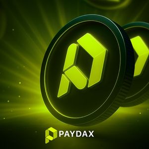 Revolutionizing the Financial Ecosystem with PayDax Protocol