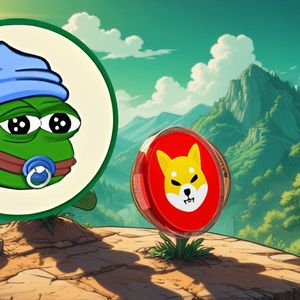 Exploring the Next Potential Crypto Sensation: Little Pepe (LILPEPE)