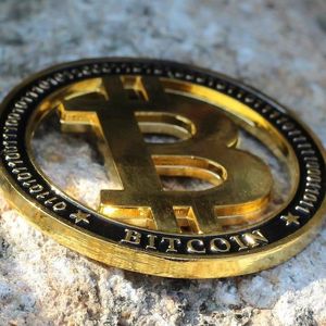 Revealing the Shadows: The Tale of a Crypto Whale's Massive Market Moves