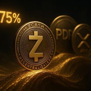 Exploring the Surge in Zcash and Prospects for XRP and PayDax Protocol