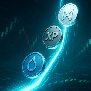 Cheap But Powerful: SUI, XPL, and NEAR Look Ready for a Breakout