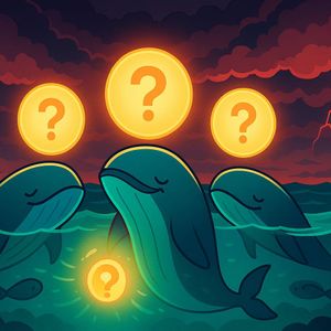 Top 3 Coins Whales Are Quietly Buying Before the Market Reverses