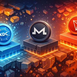 Market Pullback Hits Midcaps Hard — Which Altcoins Are Holding Structure
