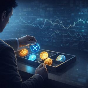 Diversify Now or Chase Later, Best Coins to Hold Before the Next Bull Market