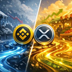 February Is About to Flip the Market Historycally - Could BNB and XRP and Rebound This Month?