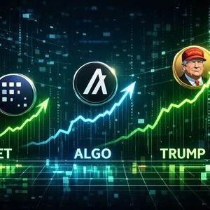 Not All Coins Are Recovering Equally — Why FET, ALGO, and TRUMP Stand Out Right Now