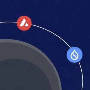 Avalanche (AVAX) And Sui (SUI): After New Subnets And Move‑Based DeFi Partnerships, Do AVAX And SUI Pull Builders Into Alt‑VM Land Or Remain Satellite Chains Ar...
