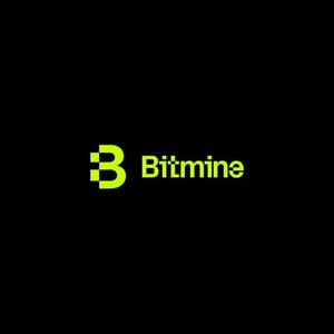Bitmine Immersion Technologies Announces Proposed Series A Perpetual Preferred Stock Offering