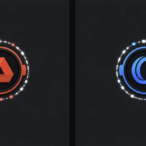 Akash (AKT): Decentralized Cloud Compute, Oasis Network (ROSE): Confidential Smart‑Contract L1 – Do They Combine Into A “Cheap Compute + Privacy App” Pair Or Re...