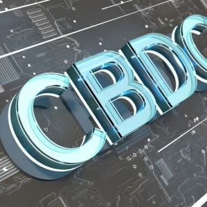 Ripple Is In Dialogue With Over 20 Central Banks On CBDCs, Exec Reveals