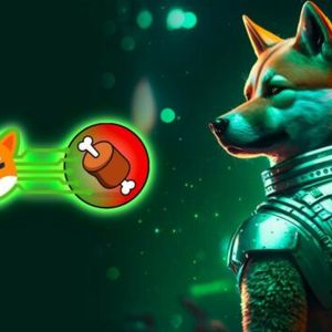 Shiba Inu Team Confirms Shibarium Launch This Week: What You Need To Know