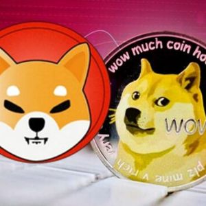 Dogecoin, Shiba Inu Record Double-Digit Losses Amid Market Uncertainty