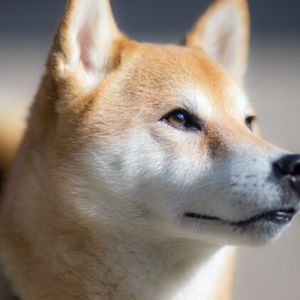 PuppyNet Launch Spikes SHIB Burn Rate By 1,318%
