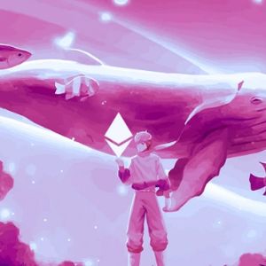 Ethereum Price Plummets As Whale Transfers $33 Million ETH To Binance