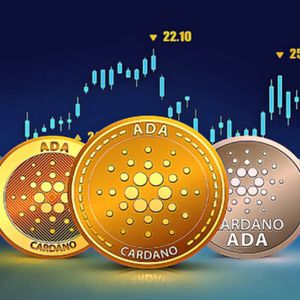 Cardano Gearing Up For Recovery As ADA Whales Become Active Again