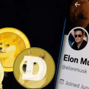 Dogecoin Surges 4% Due To This Elon Musk Tweet