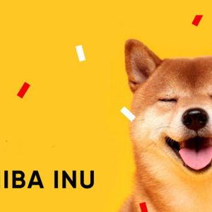Shiba Inu And Shibarium Update: Major Progress Coming