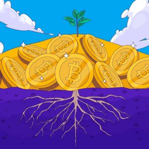 Bitcoin Taproot Drives Transactions To ATH – What This Means For Investors