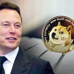 Elon Musk Stepping Down as CEO Twitter, End of DOGE?