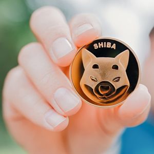 Shiba Inu Takes Center Stage As Social Activity Spikes, Price Uptick Imminent?