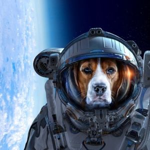 Bullish Resurgence: Analyst Predicts Where Dogecoin Price Will Be On DOGE Day