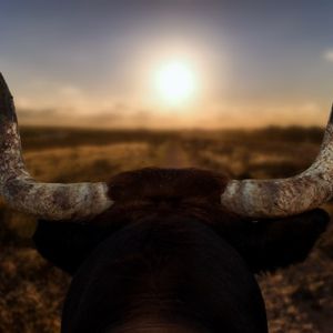 Blockbuster Week For Bitcoin And Crypto: 5 Must-Watch Events