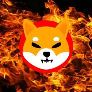 Shiba Inu Burn Rate Crashes 99% After 18,000% Spike, What Happened?