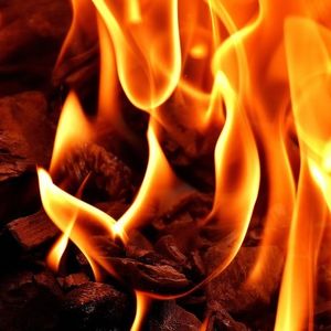 Shiba Inu Fees On Fire: What’s Behind The 500% Surge?