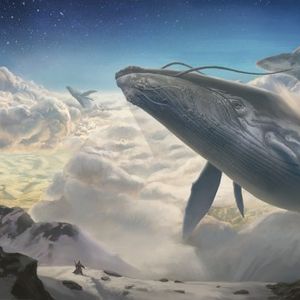 Whale On The Move: $18 Million Ethereum Withdrawal Triggers DeFi Frenzy
