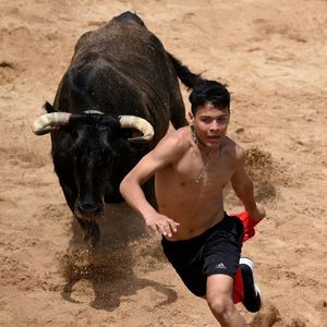 Bitcoin Bull Brandt Burns Schiff: ‘Stop Betting On Dead Horses!’