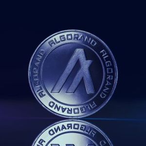 Blockchain Brawl: Algorand Claims Only They ‘Deliver’ For Everyday Use