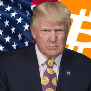 From Real Estate to Crypto King: Trump’s Digital Fortune Booms To Over $10 Million