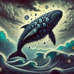 Bitcoin Whales Quietly Buy $439 Million In BTC While Market Panics