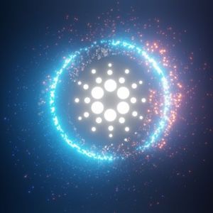 Cardano Completes Crucial Vote For New Constitutional Committee