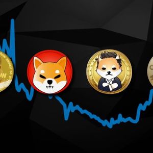 Crypto Guru Says Only Bitcoin Makes The Grade — Not Meme Coins
