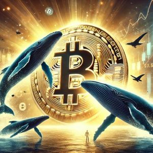 Bitcoin Whales Buy The Crash: Exchange Outflows At Highest In 2024