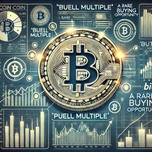 Bitcoin Puell Multiple Suggests BTC Is Showing A Rare Opportunity