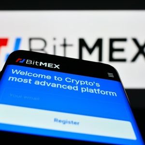 BitMEX Execs Plead Guilty: Years Of Money Laundering Exposed