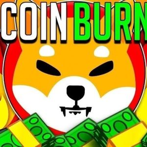 Shiba Inu Army Launches Petition Urging Binance To Burn SHIB