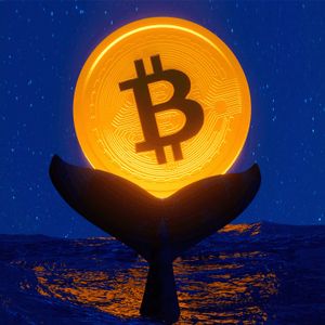 Bitcoin Accumulation: Mega Whale Holdings Hit Highest Levels In 2 Years