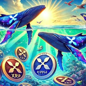 XRP Whales Go On $84 Million Buying Spree To Lock Down 140 Million Tokens