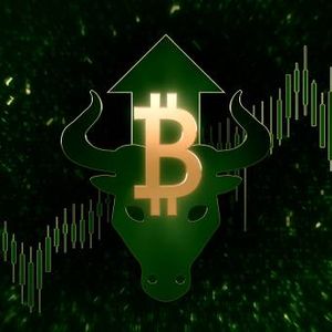 Bitcoin Bull Run: Analyst Identifies Where We Are In The Bull-Bear Cycle