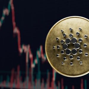 Cardano Sentiment More Bullish Than Bitcoin, XRP, Data Says