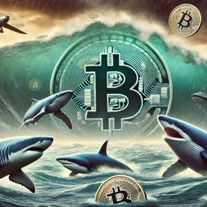 Bitcoin Sharks & Whales Unfazed By Sub-$60,000 Crash, Data Reveals